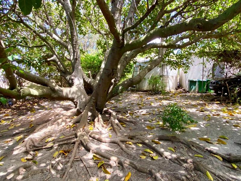 8 Bedroom Property for Sale in Hopefield Western Cape